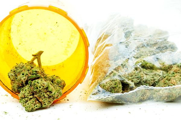 marijuana possession,illegal marijuana possession,marijuana arrests,marijuana busts,marijuana charge